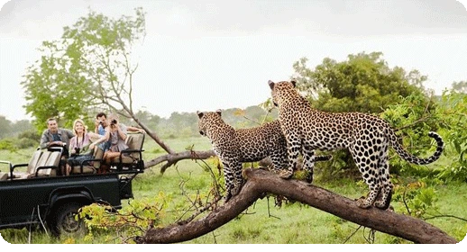 Sri Lanka