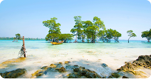 andaman img 3
