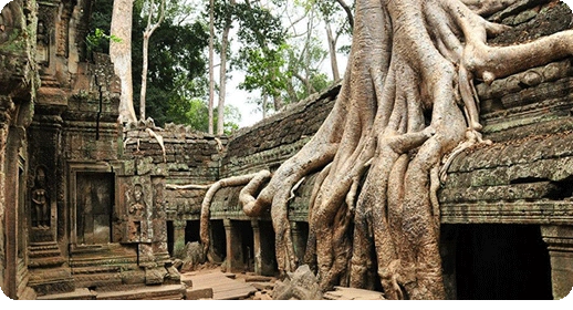 Vietnam Cambodia
