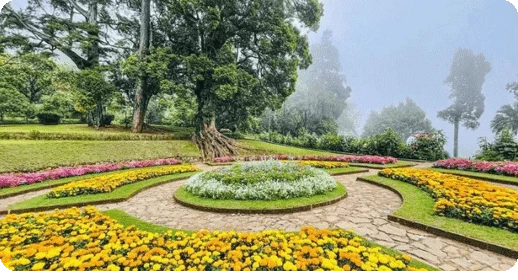 Sri Lanka